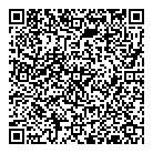 Kirkness Consulting QR Card