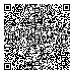 B  L Metal Products Ltd QR Card