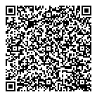 Dr A Rayevskiy QR Card