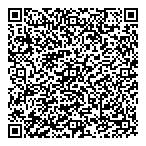 Predictive Analysis Ltd QR Card