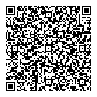 Dfp Investments Inc QR Card