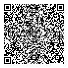 C  V Income Tax QR Card