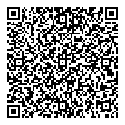 Delong Lisa Attorney QR Card