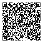 Payless Auto Sales QR Card