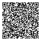 Carmedix Auto Services QR Card