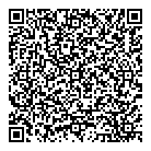 Eis Technologies Inc QR Card