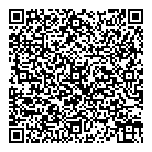 Mr Electric QR Card