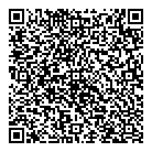 Dsi Carpet Care QR Card