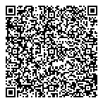 Hollinger Business Services QR Card