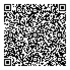 Hlb Systems Solutions QR Card
