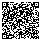 Dmj Automotive QR Card