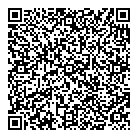 Vfd Solutions Inc QR Card