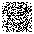 C G Realm QR Card