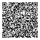 Web Geeks QR Card