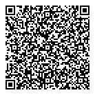 Modern Hair  Accents QR Card