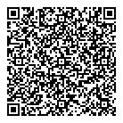 Central Stampings Ltd QR Card