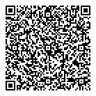 Sainetcom Inc QR Card