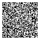 Blondie Cleaners Ltd QR Card