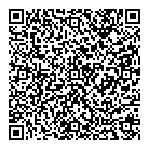 Mexico Lindo QR Card