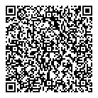 Satt Engineering Ltd QR Card