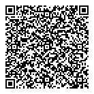 Nintendo QR Card