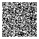 Ql Digit Consulting QR Card