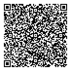 Developing Solutions Inc QR Card