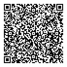 Als Global QR Card