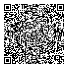 Cosmic Collision Ltd QR Card