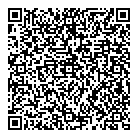 Skylight Optical QR Card