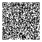 Damel Holdings Ltd QR Card