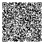 A-Link Financial Services Ltd QR Card