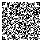 Quad-Linq Systems Inc QR Card