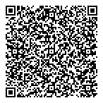 Dillon Consulting Ltd QR Card