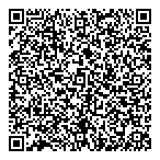 Delta 4 Projection Systems QR Card