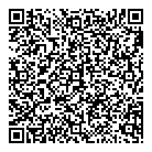 Discerning Systems Inc QR Card