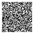 Llv Consulting Inc QR Card