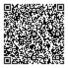 Code Pixel Solutions QR Card