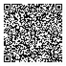 Torque Strategies Co QR Card