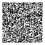 David Kirsch Forwarders Ltd QR Card