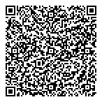 Link Insurance Services Ltd QR Card