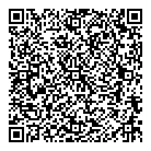 V K Groceries QR Card