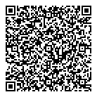 Professionail QR Card