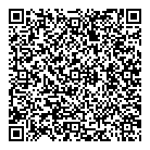 Mini Medi Spa QR Card