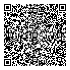 Elink Holdings Inc QR Card