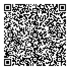 Visions Electronics QR Card