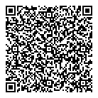 Optical Sun QR Card