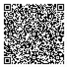 Typlan Consulting QR Card