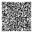 Downes Automotive QR Card