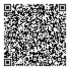 Luxor Motor Sport QR Card